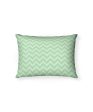 Cushions  24-Floral Mint - Cushion Cover - Htcudp400390-Dck-Mul Supply